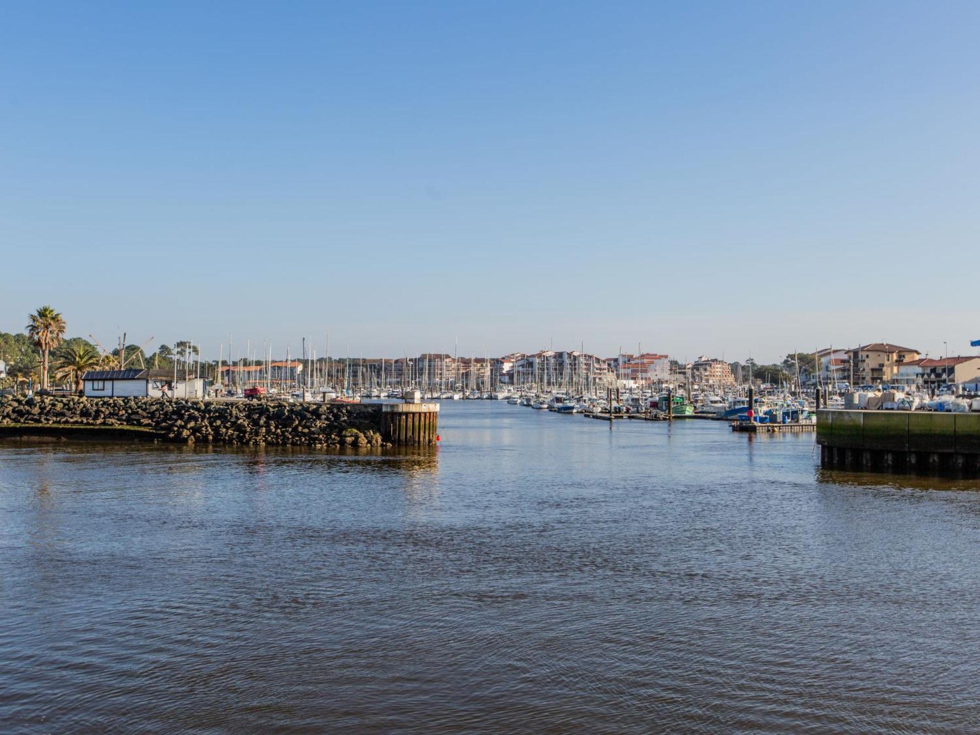 Apartment Les Terrasses Notre Dame Du Port-8 By Interhome Capbreton Exterior foto